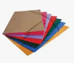 Carpeta 3 solapas color